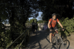 Munich on a Bicycle, Germany