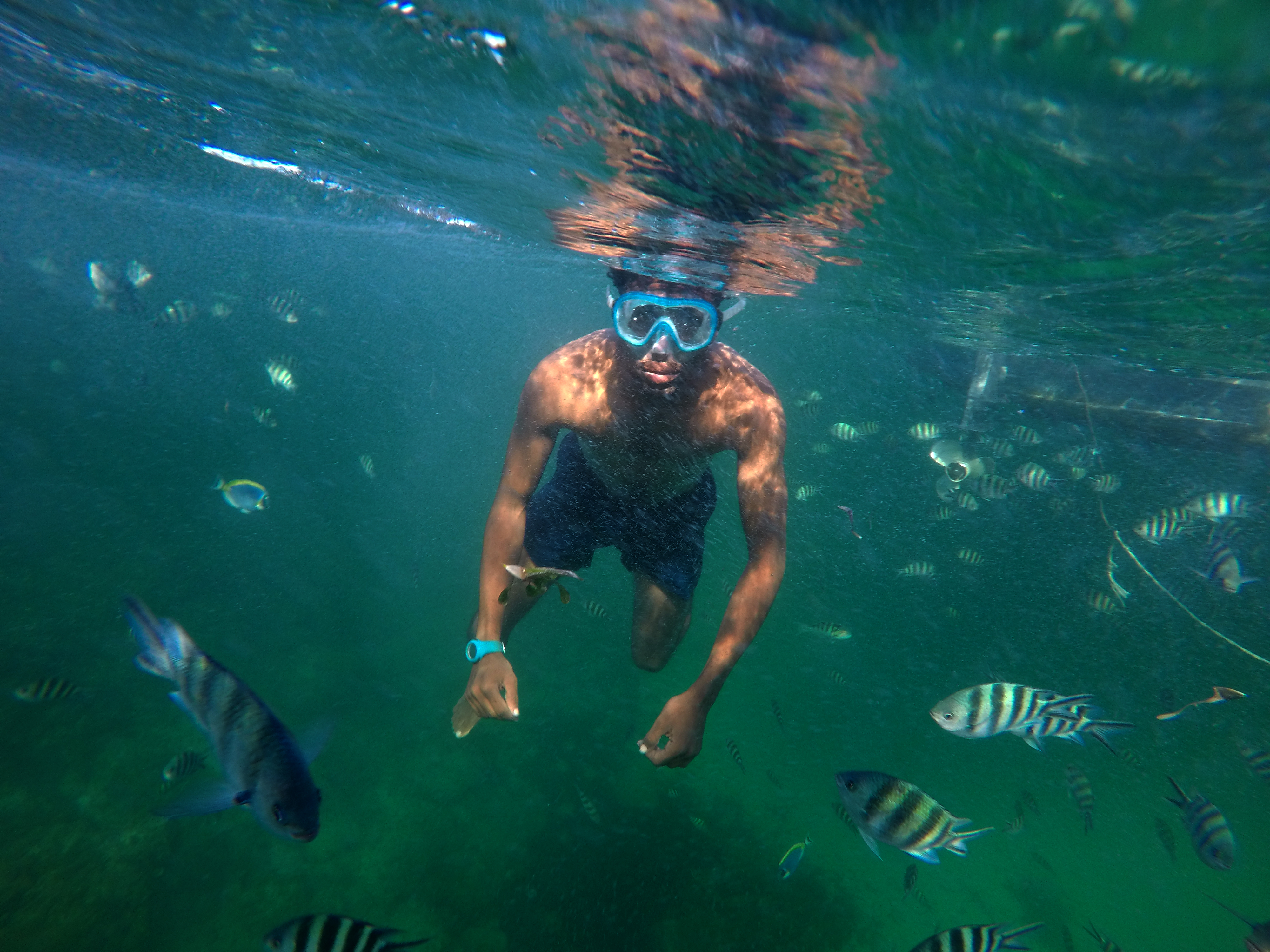 Treasures Of The Sea.  Watamu, Kenya